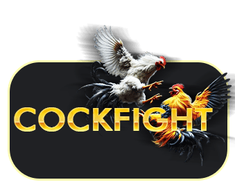 ไก่ชน_R1ufabet