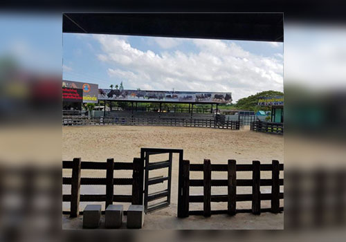 สนามวัวชน4