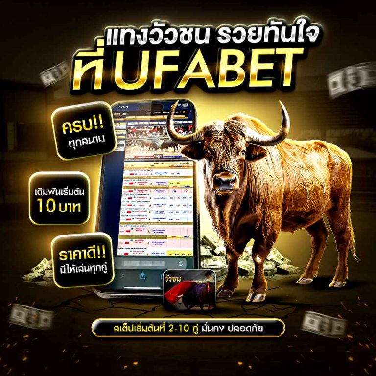 แทงวัวชน